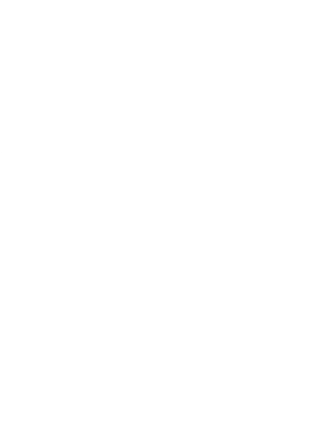 Grupa KMS K9