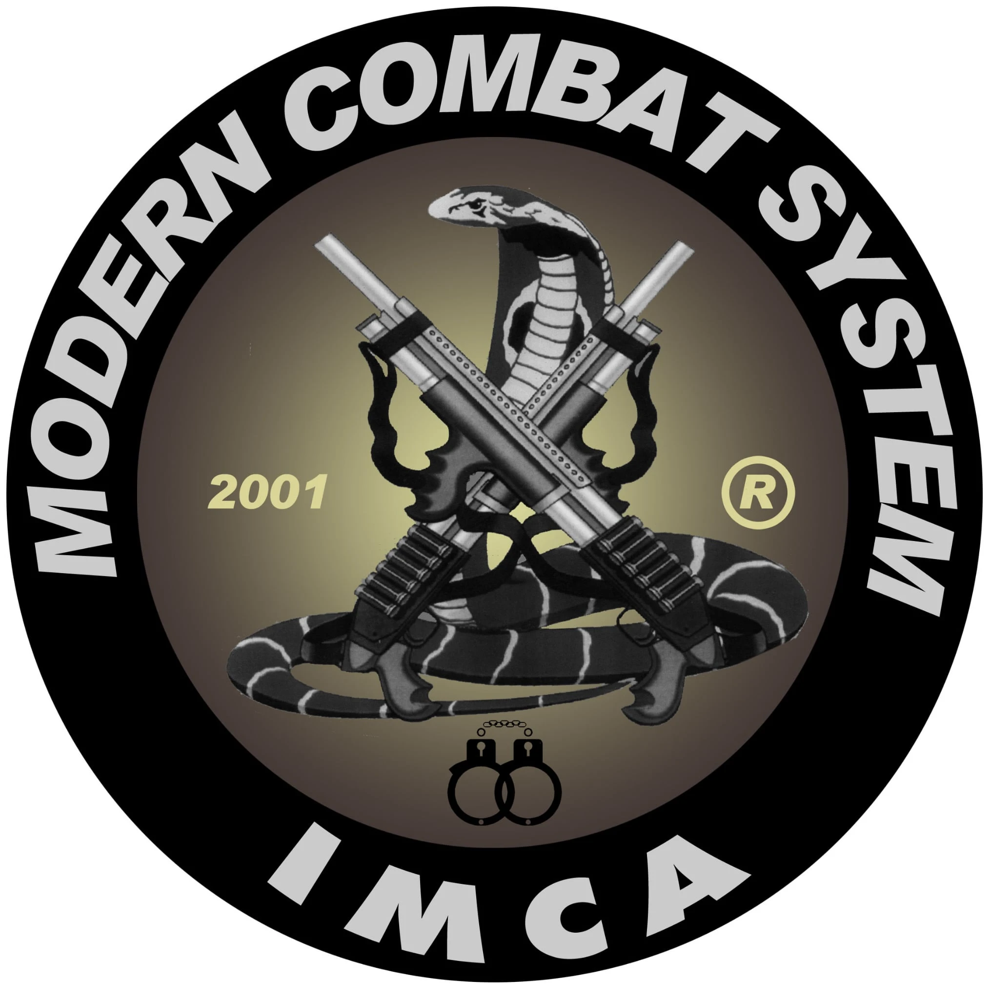 Modern Combat System